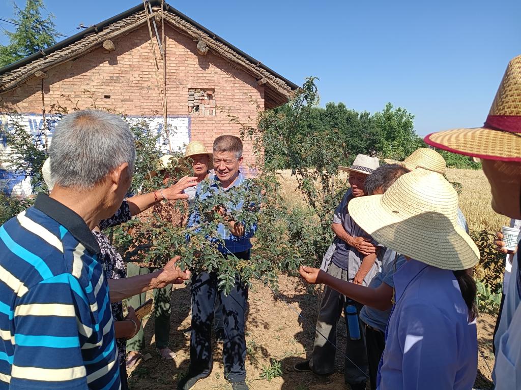 技术培训下乡 助力乡村振兴